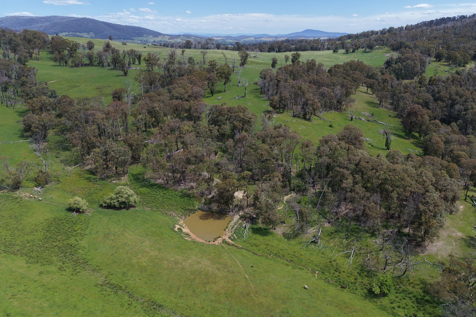 954 Courabyra Road TUMBARUMBA 2