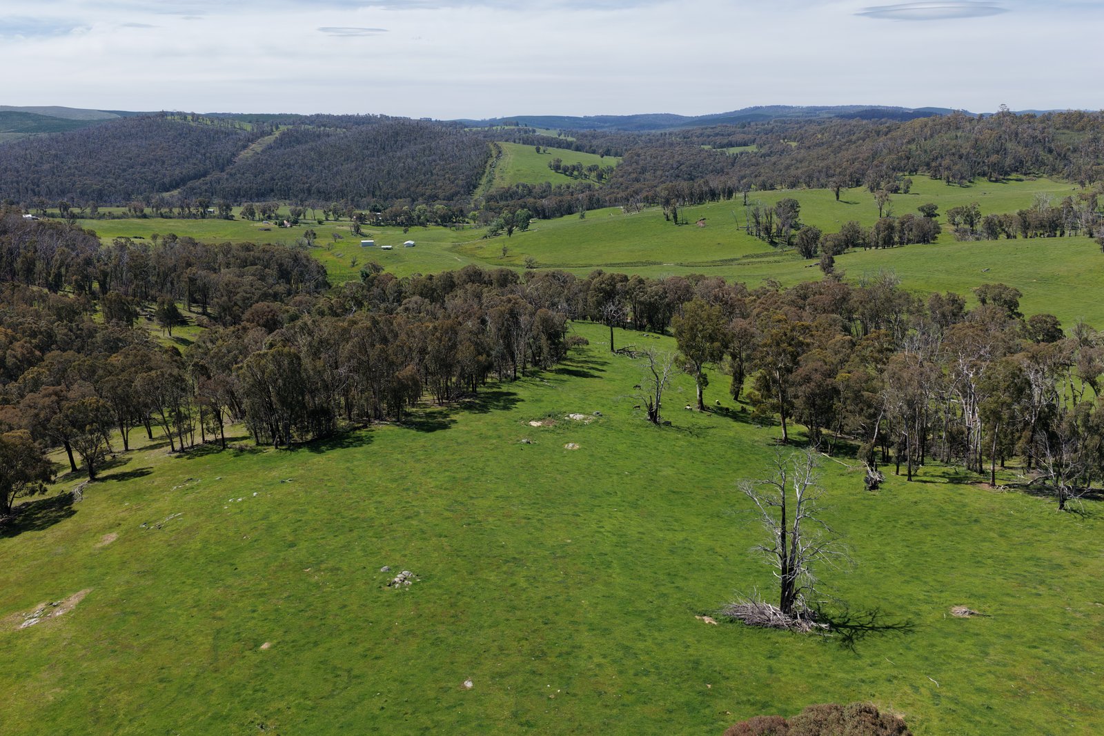 954 Courabyra Road TUMBARUMBA 3