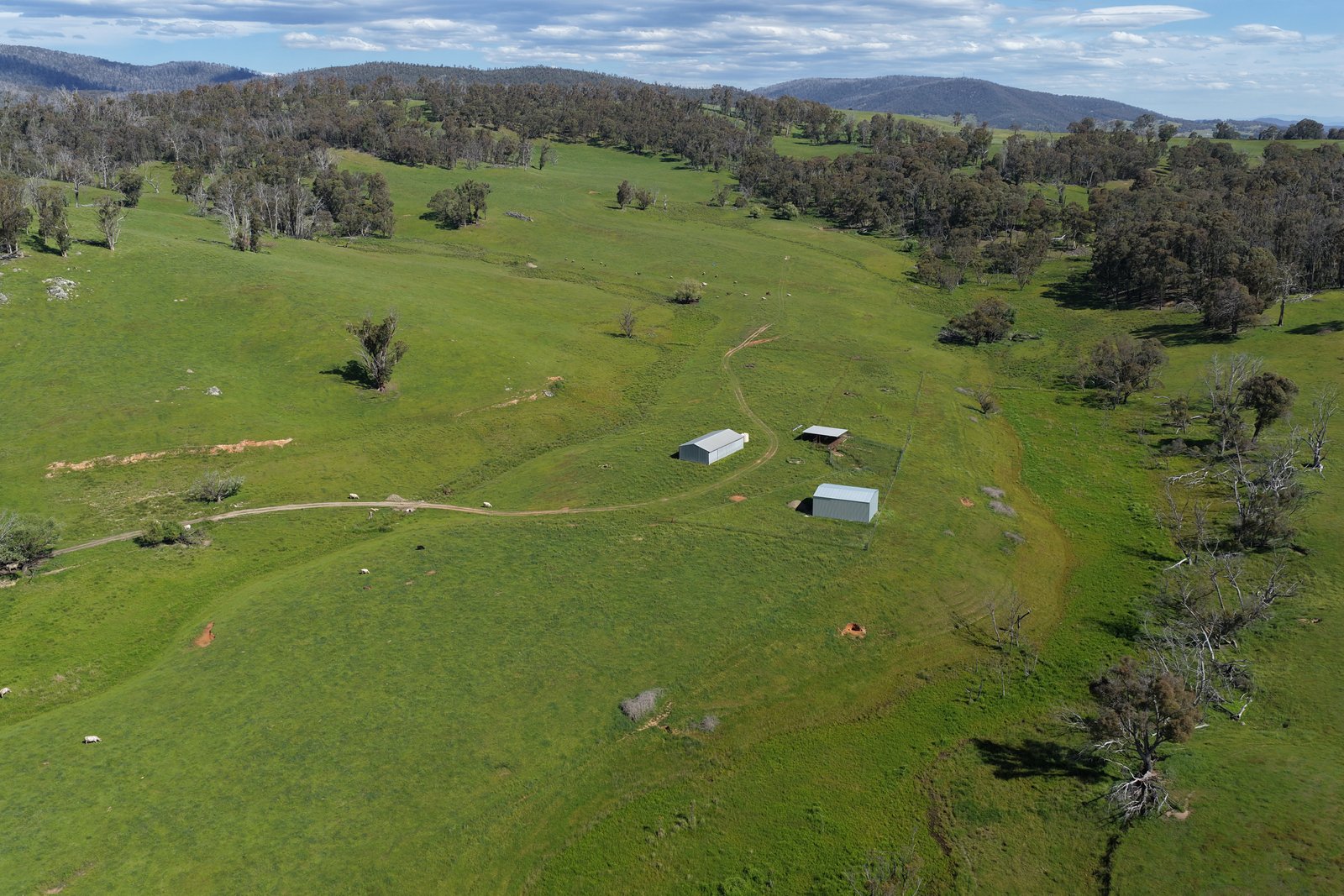954 Courabyra Road TUMBARUMBA 7