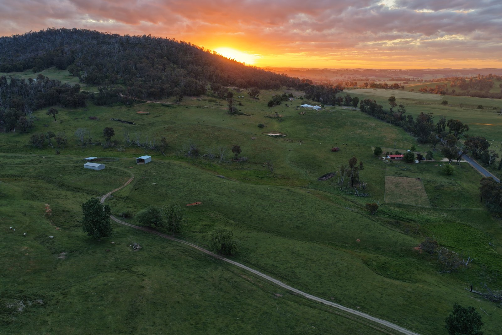 954 Courabyra Road TUMBARUMBA 8