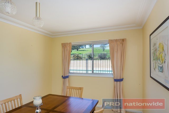 954 Snowy Mountains Highway TUMUT 9