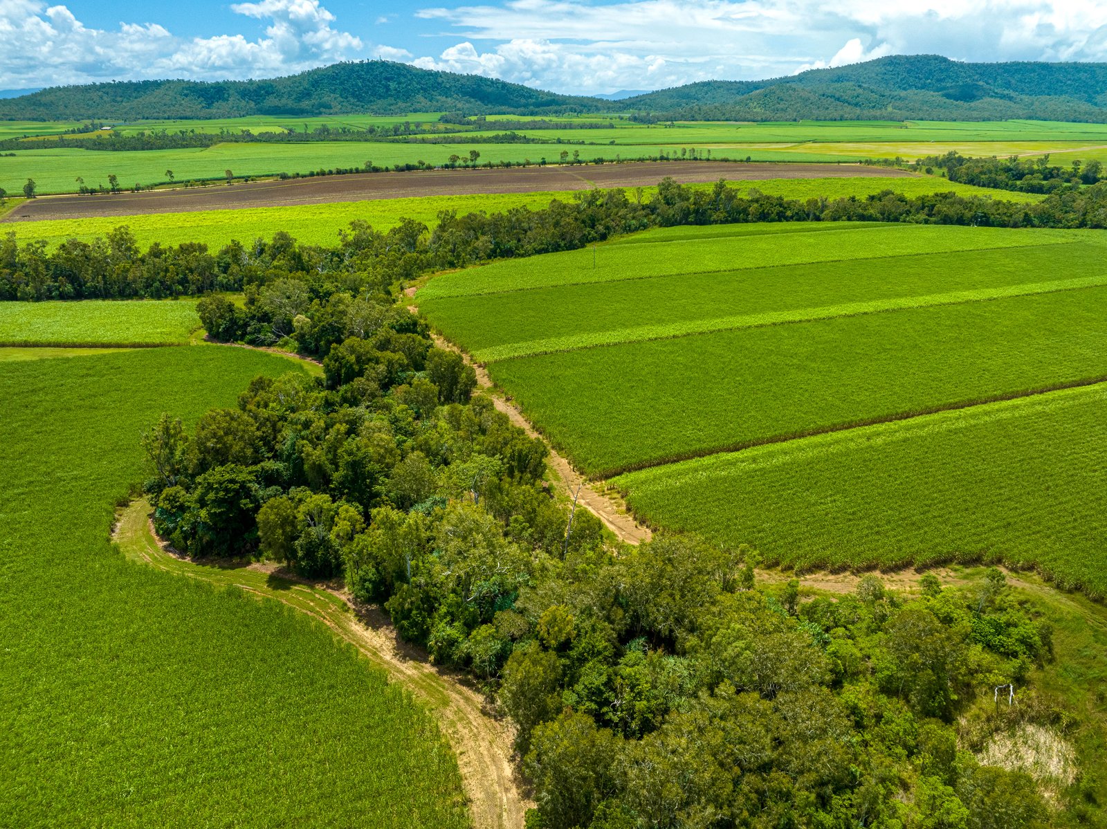 9548 Bruce Highway BLOOMSBURY 7