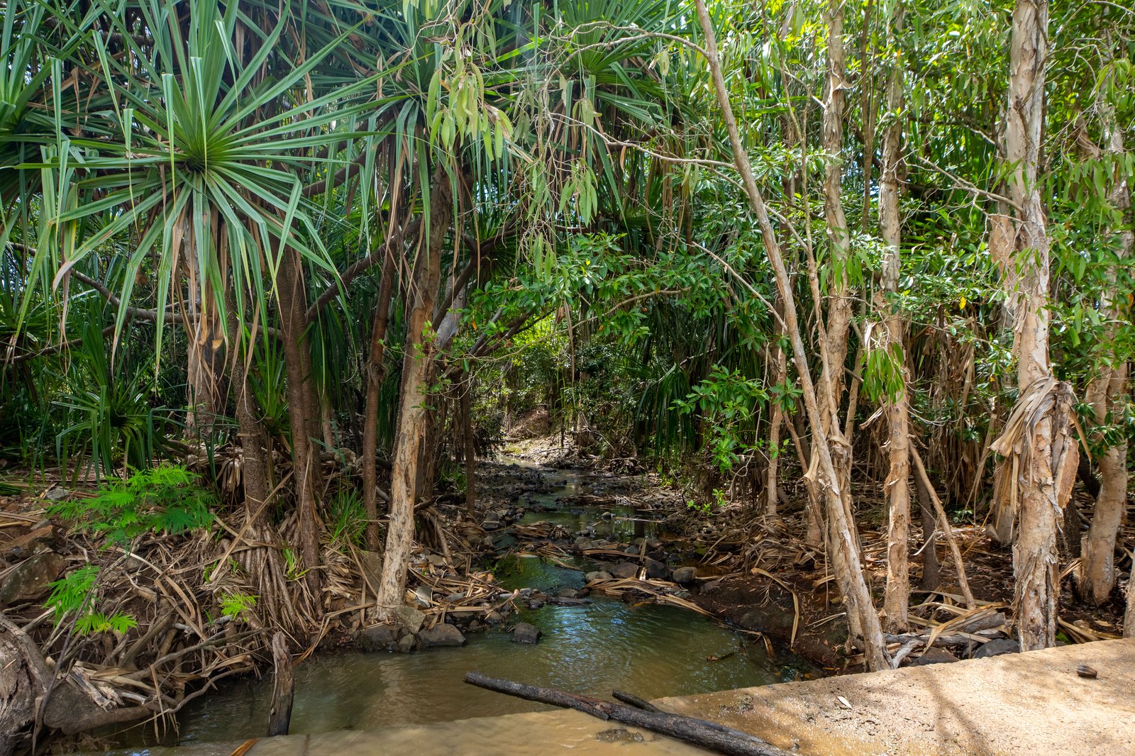 9548 Bruce Highway BLOOMSBURY 9