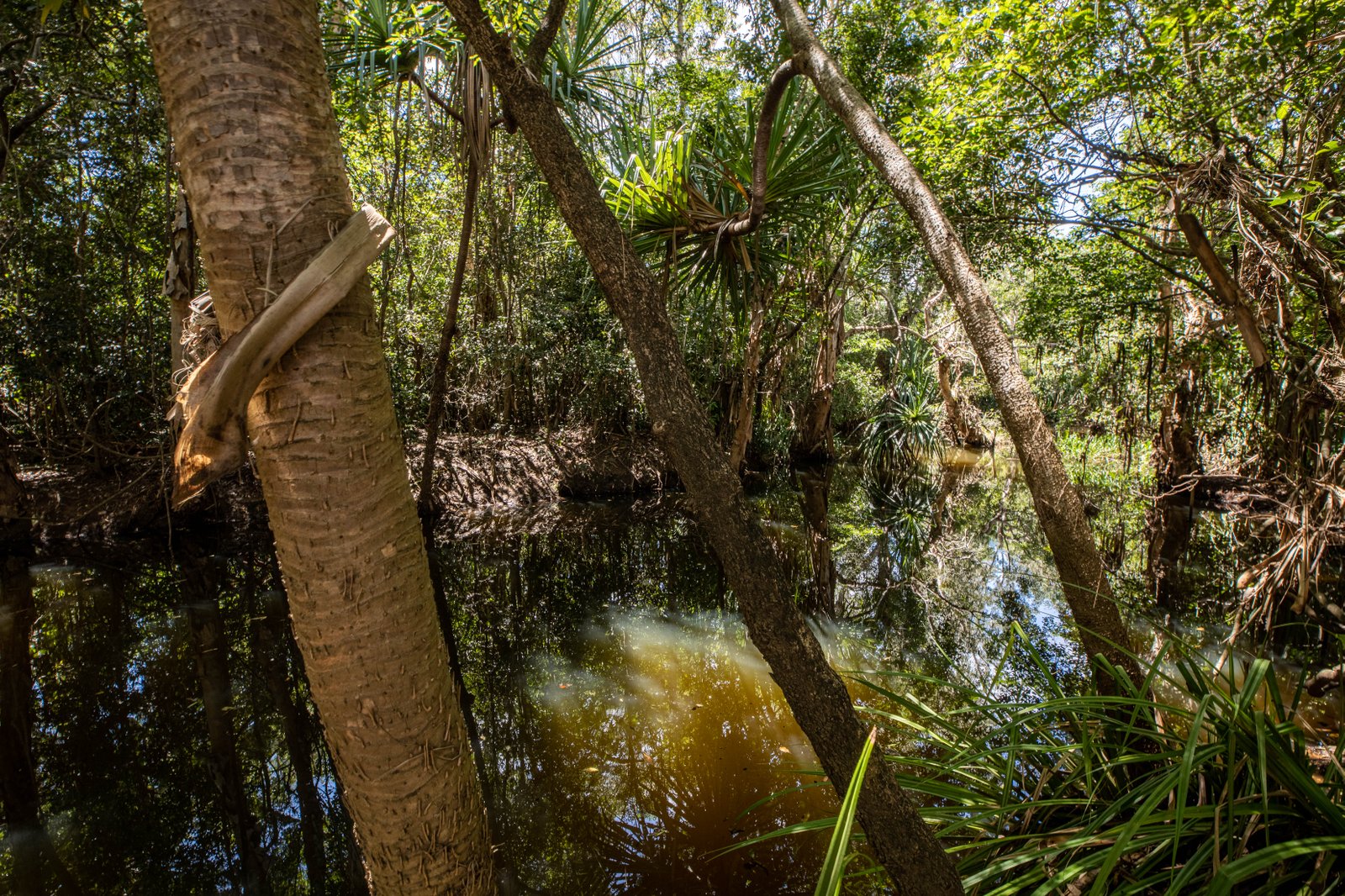 9548 Bruce Highway BLOOMSBURY 10