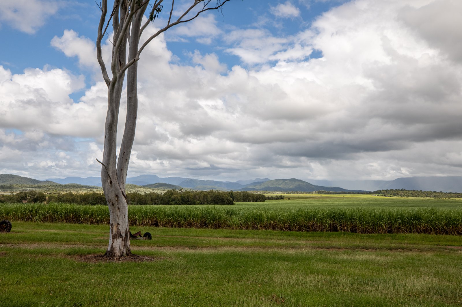 9548 Bruce Highway BLOOMSBURY 11