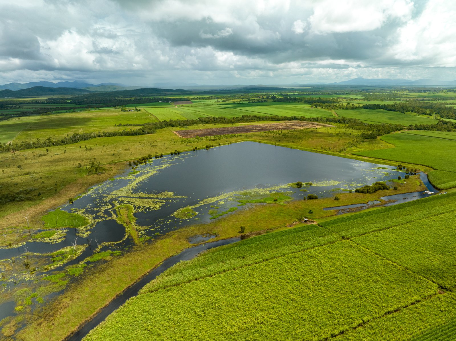 9548 Bruce Highway BLOOMSBURY 12