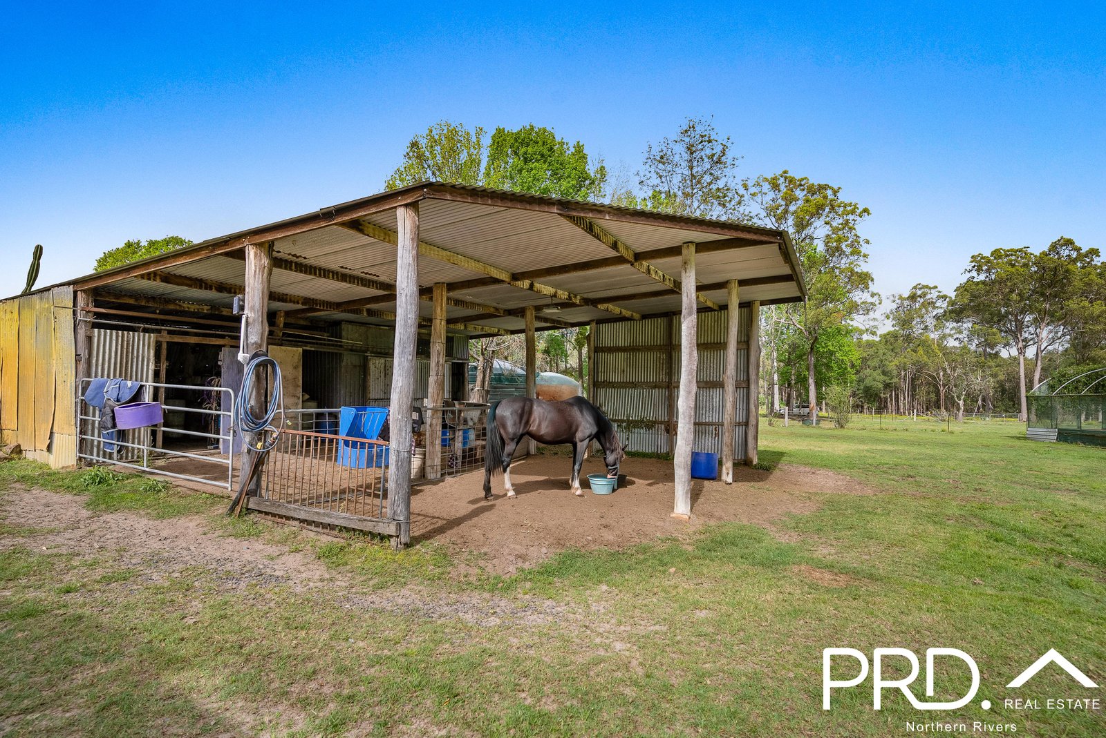 955 Myall Creek Road BORA RIDGE 16