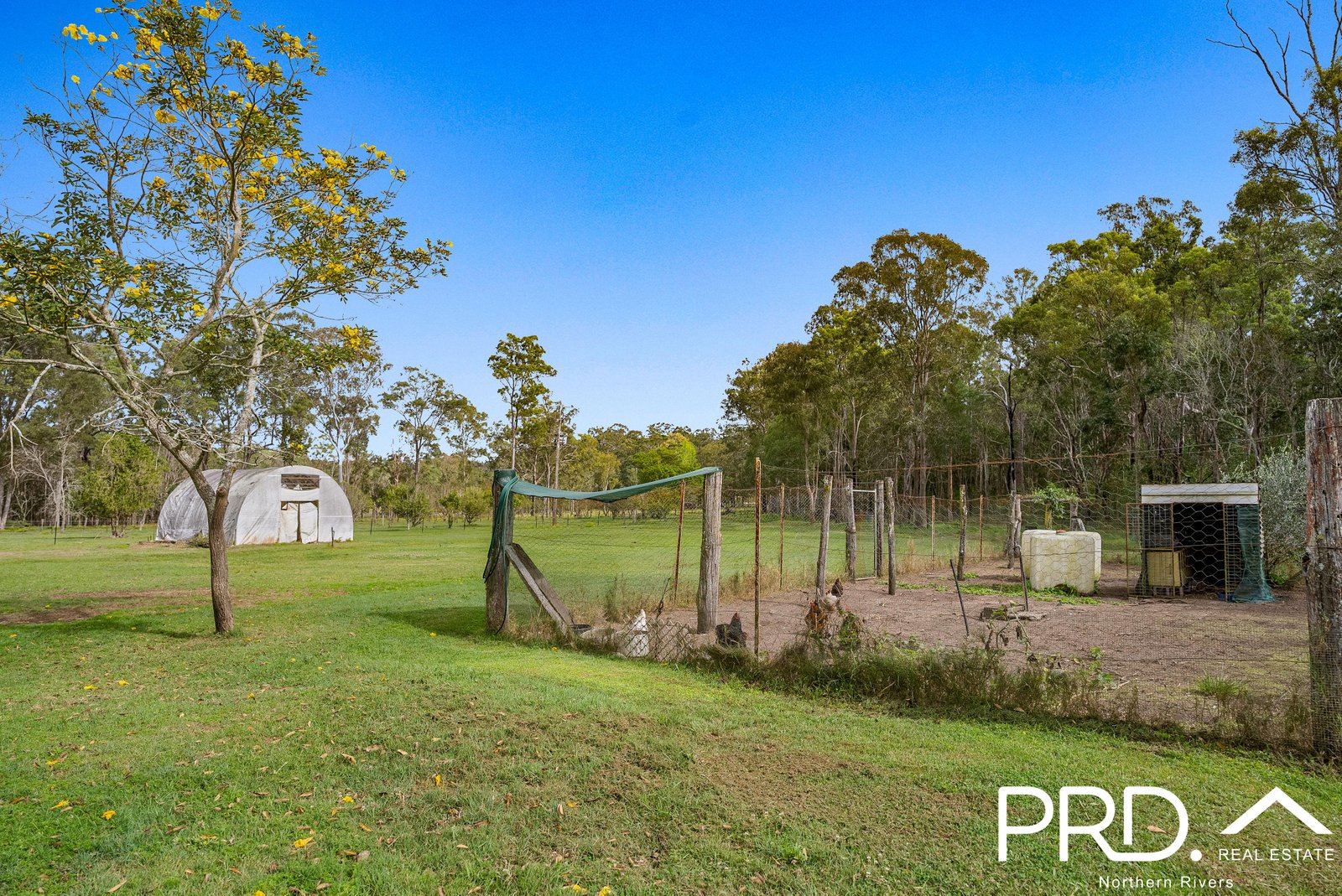 955 Myall Creek Road BORA RIDGE 18