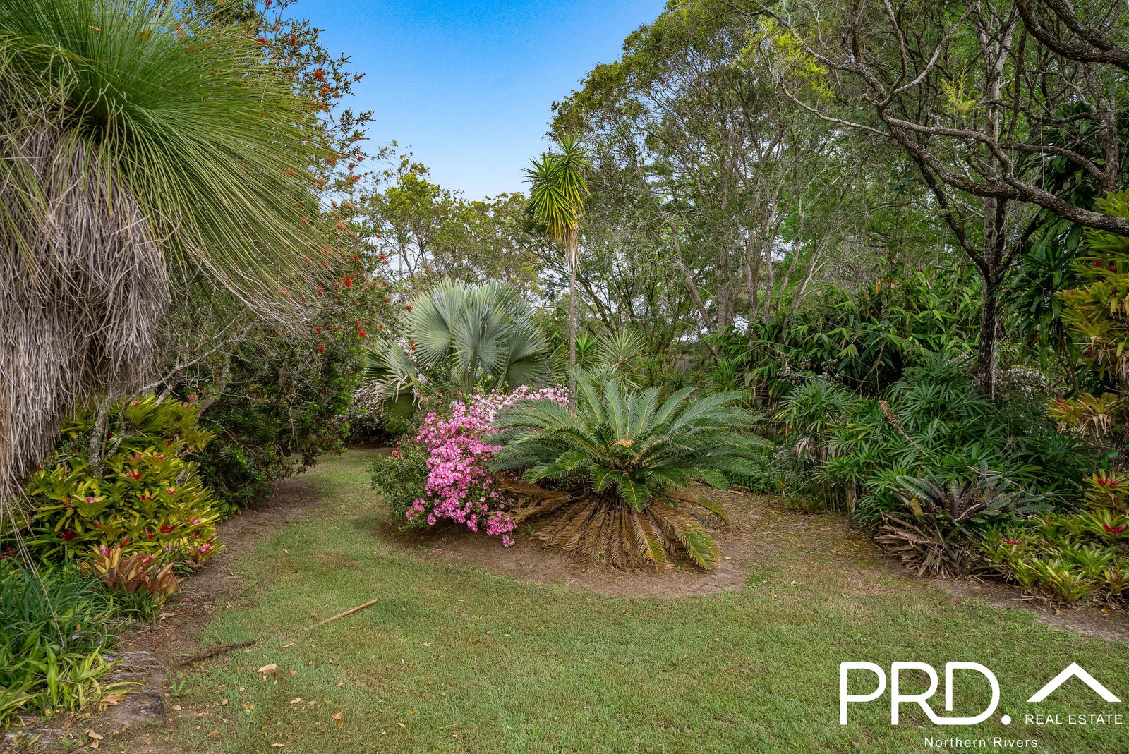 955 Myall Creek Road BORA RIDGE 19