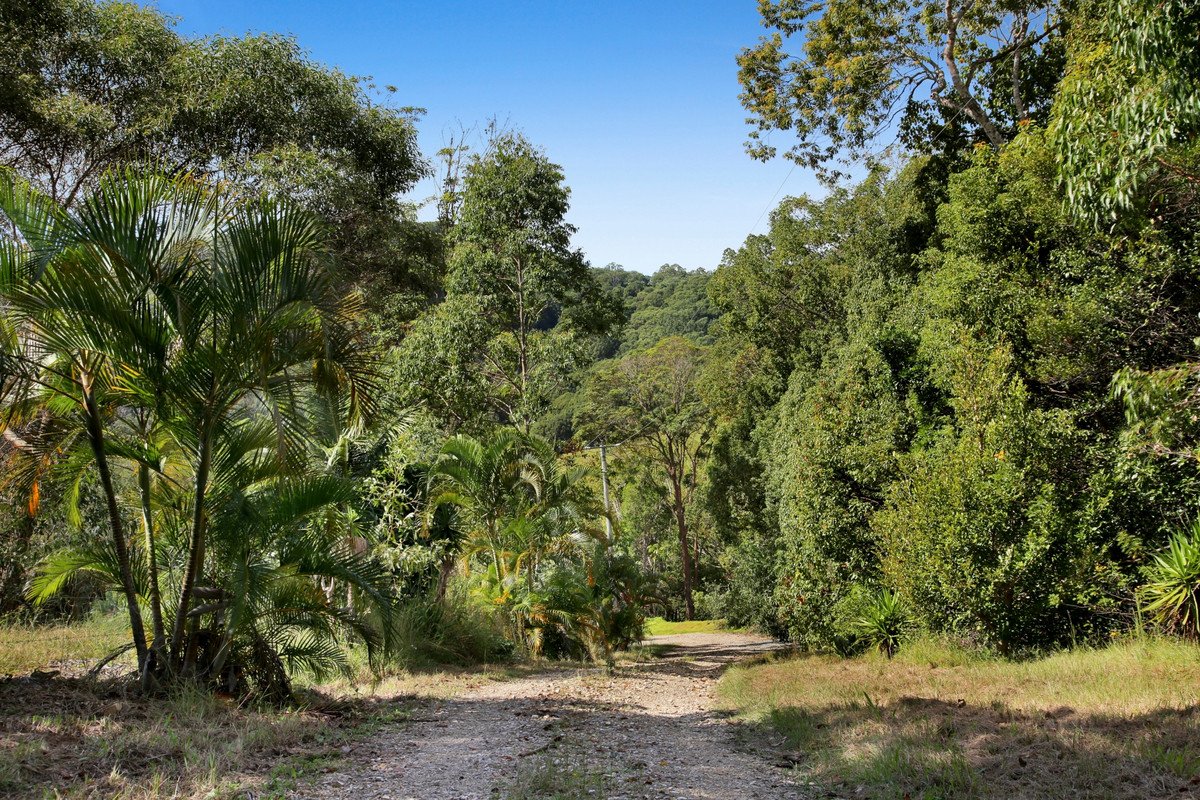 956 Currumbin Creek Road Currumbin Valley 15