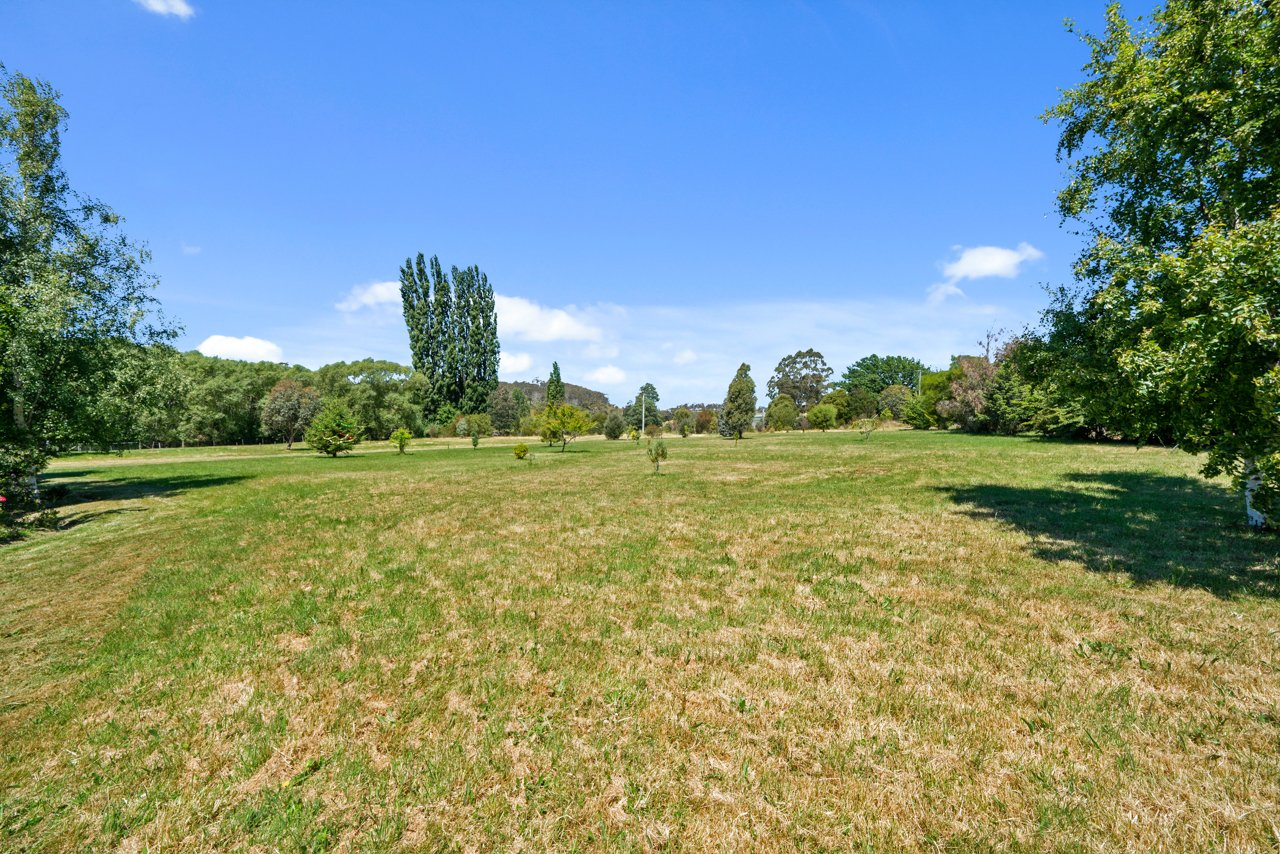 956 Ellendale Road ELLENDALE 28