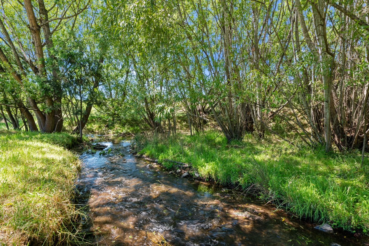 956 Ellendale Road ELLENDALE 30