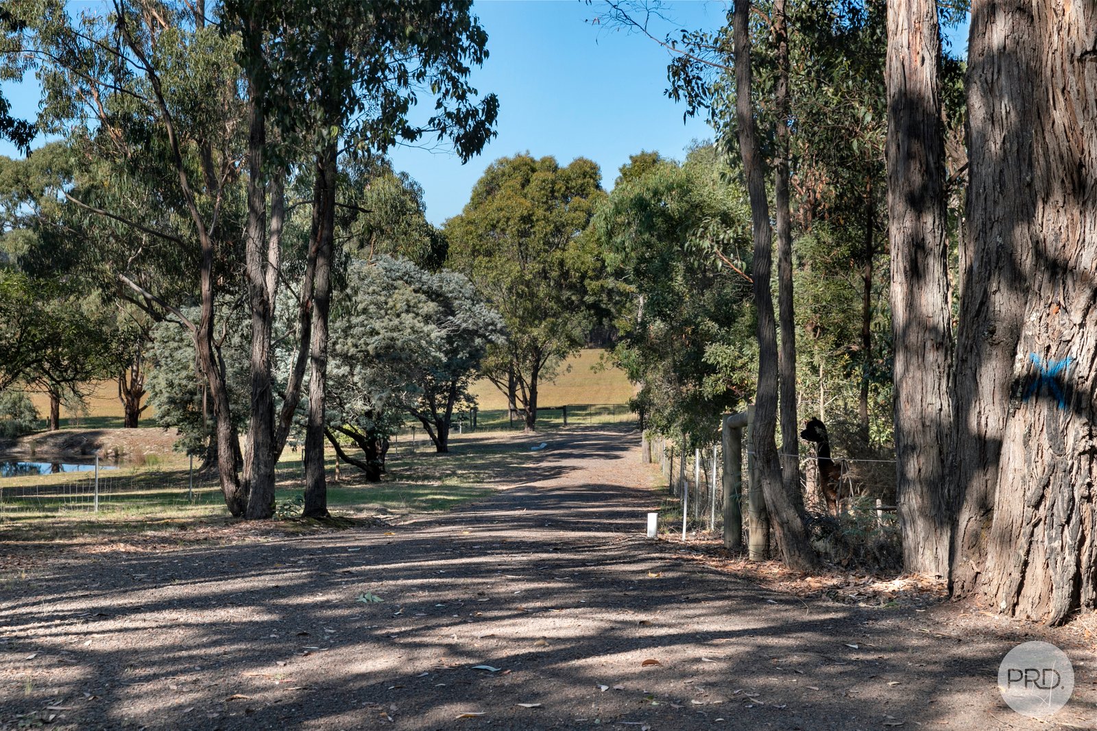956 Pittong-Snake Valley Road SNAKE VALLEY 3