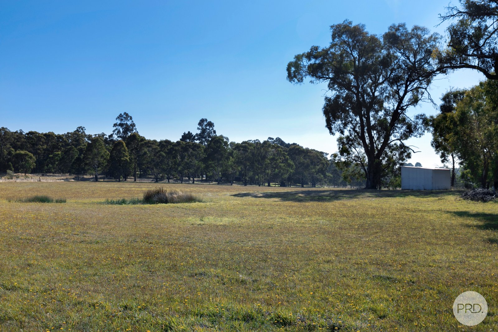 956 Pittong-Snake Valley Road SNAKE VALLEY 7