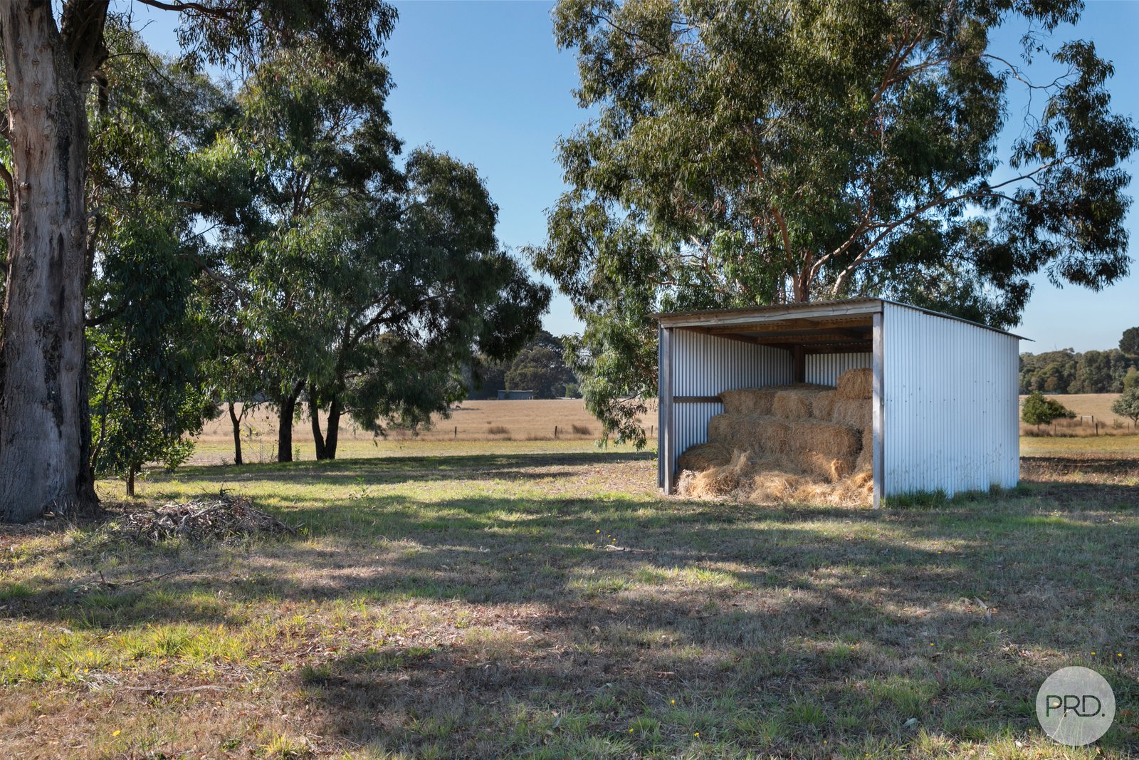 956 Pittong-Snake Valley Road SNAKE VALLEY 8