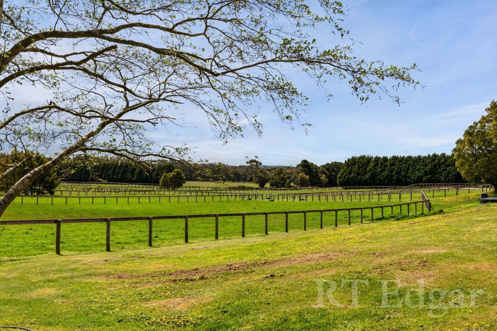 Real Estate and Property in 959 Bacchus Marsh Road, Bullengarook, VIC