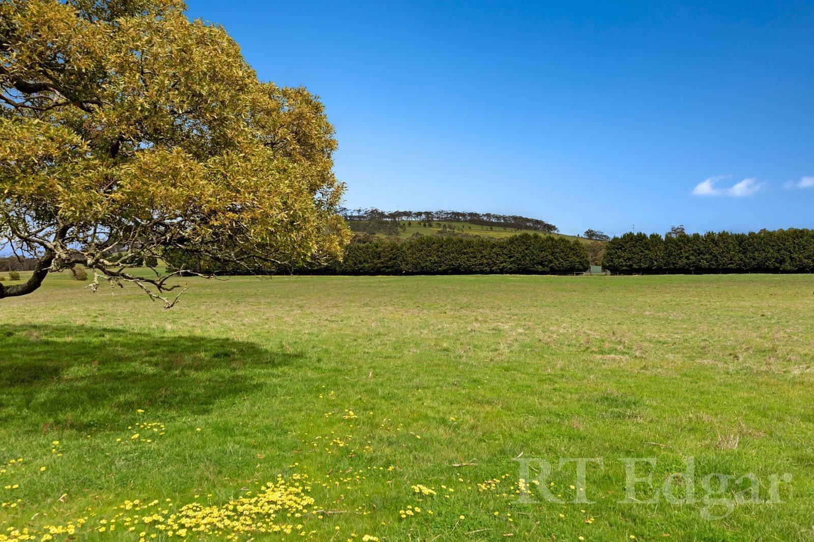 Real Estate and Property in 959 Bacchus Marsh Road, Bullengarook, VIC