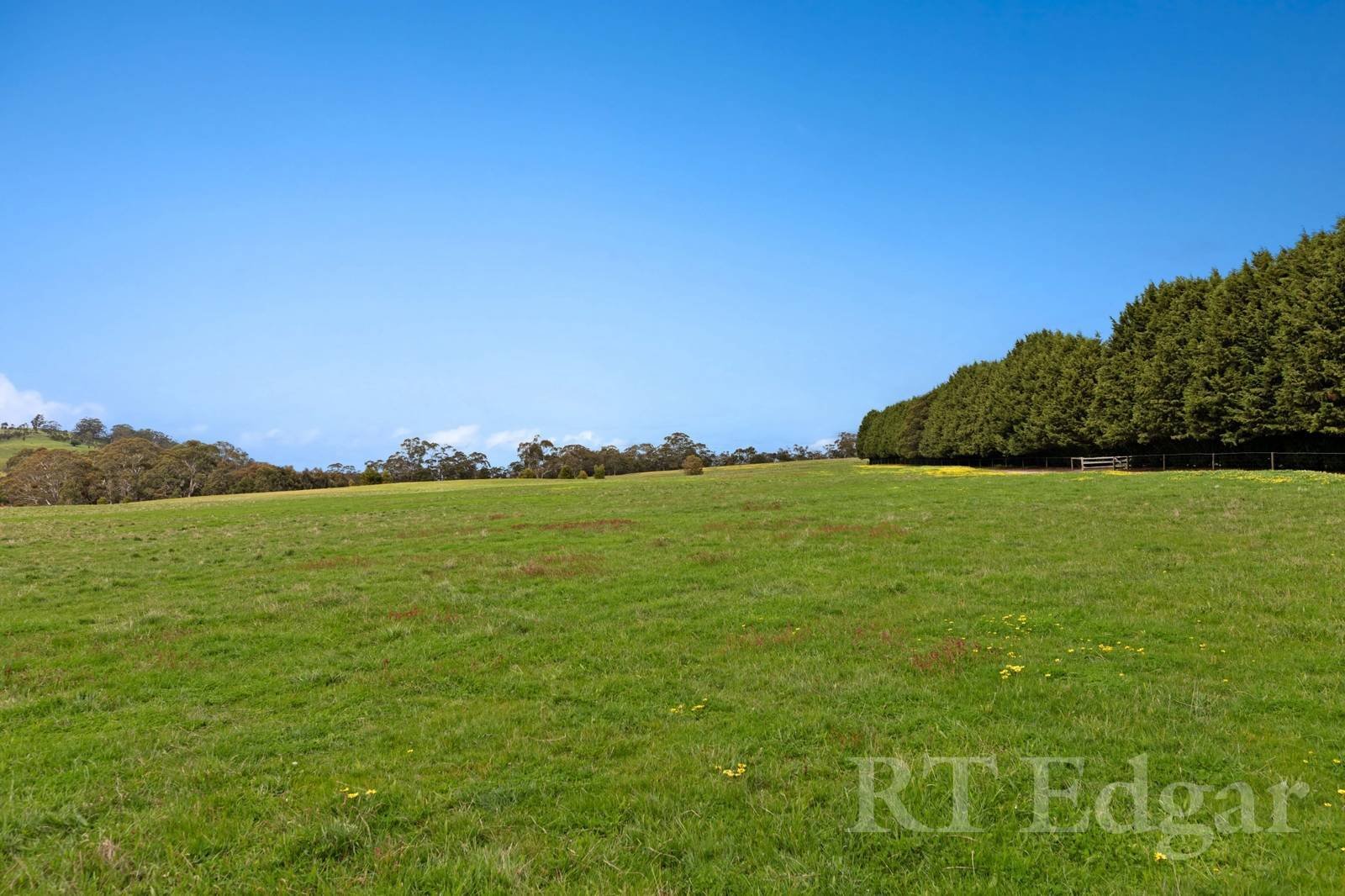 Real Estate and Property in 959 Bacchus Marsh Road, Bullengarook, VIC