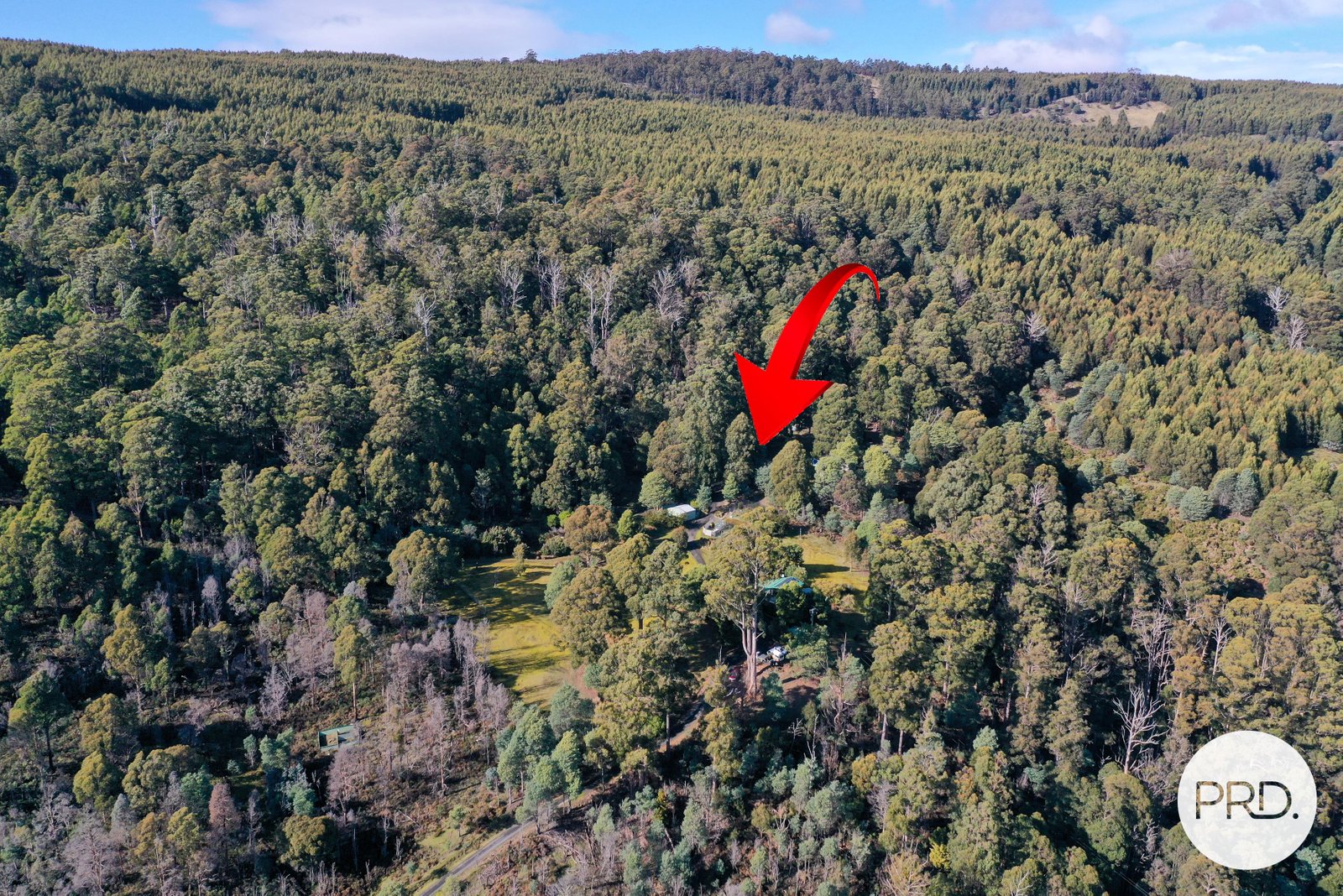 959 Glenfern Road GLENFERN 4