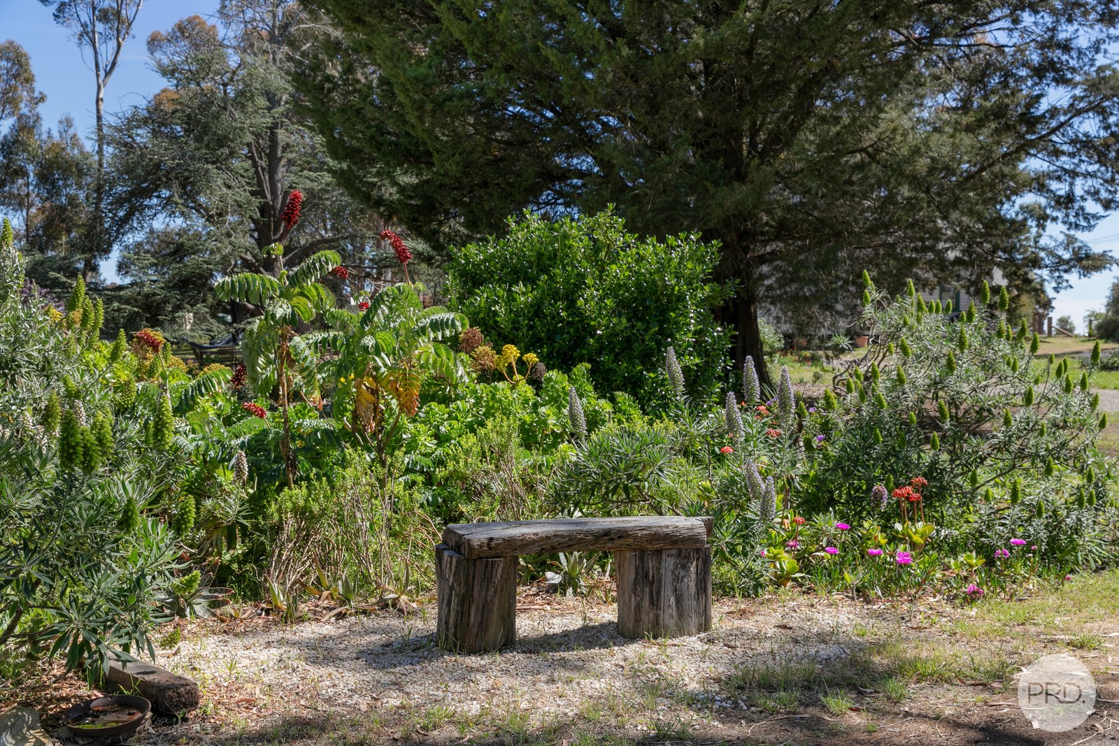 959 Rokewood-Cape Clear Road ILLABAROOK 20