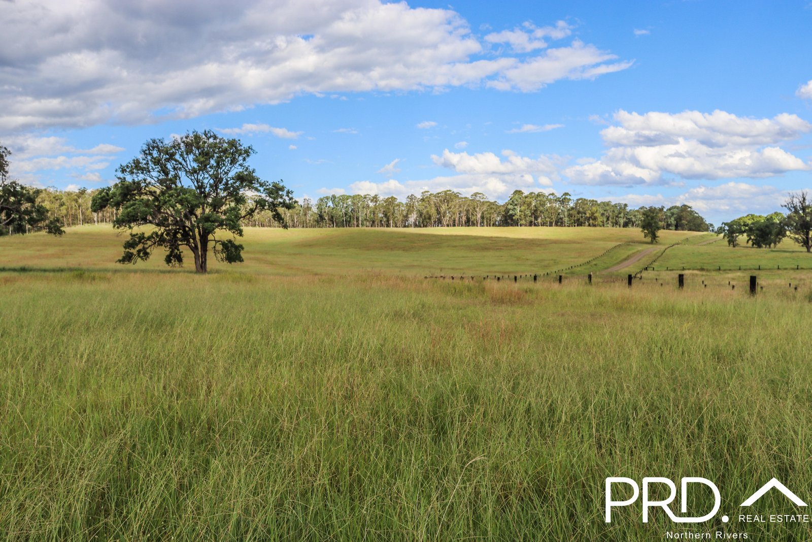 95&96 Ainsworth Road LEEVILLE 8