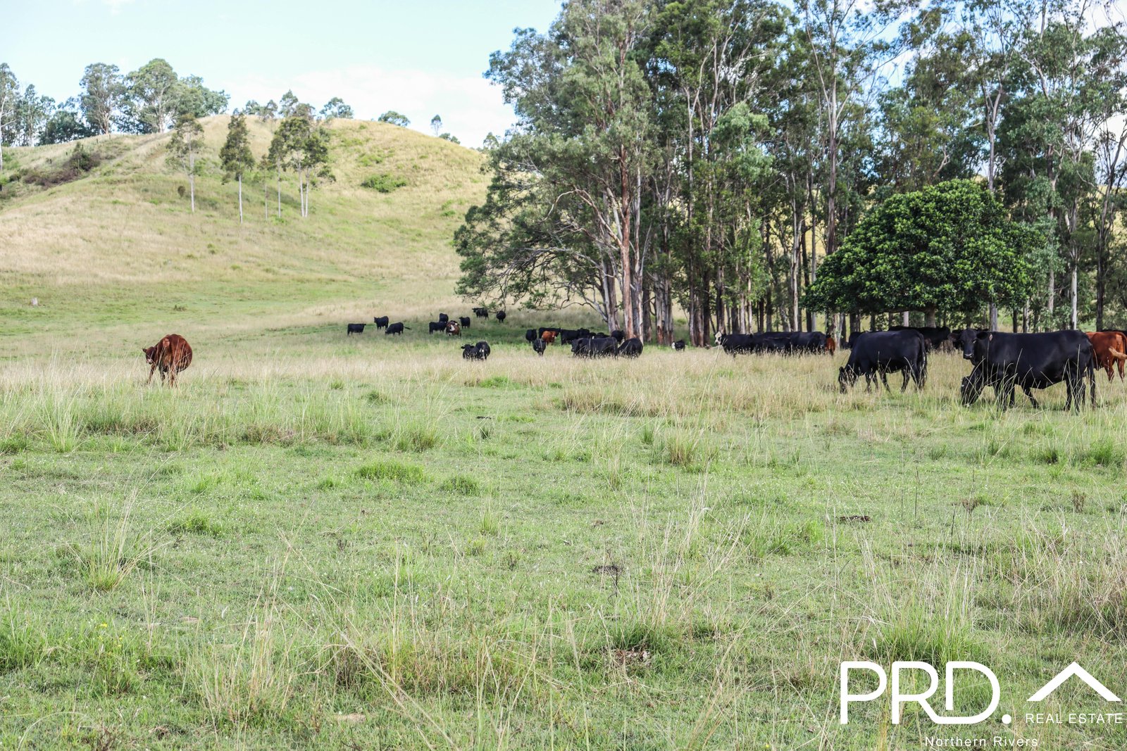 95&96 Ainsworth Road LEEVILLE 12