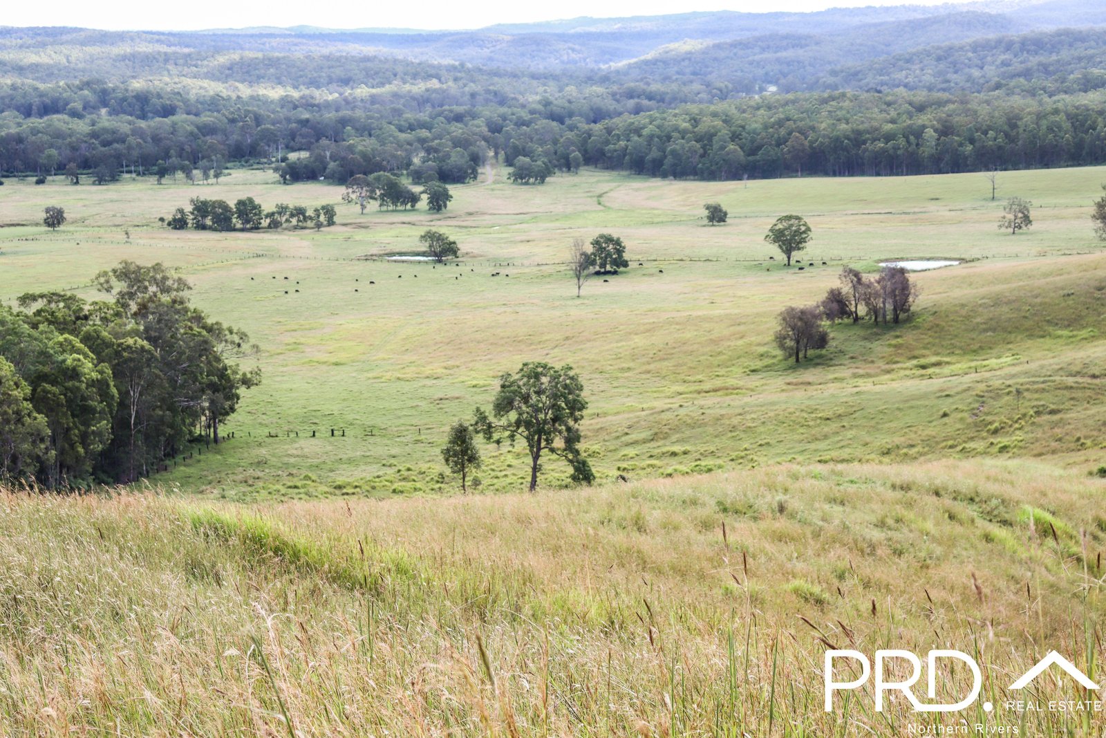 95&96 Ainsworth Road LEEVILLE 13