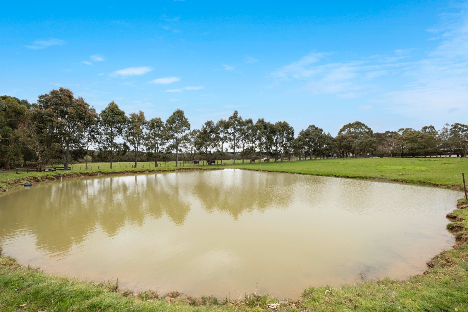 96 Bittern-Dromana Road, Balnarring, 3926