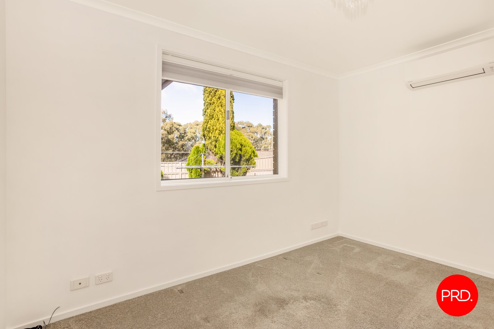 96 Bright Street CALIFORNIA GULLY 10