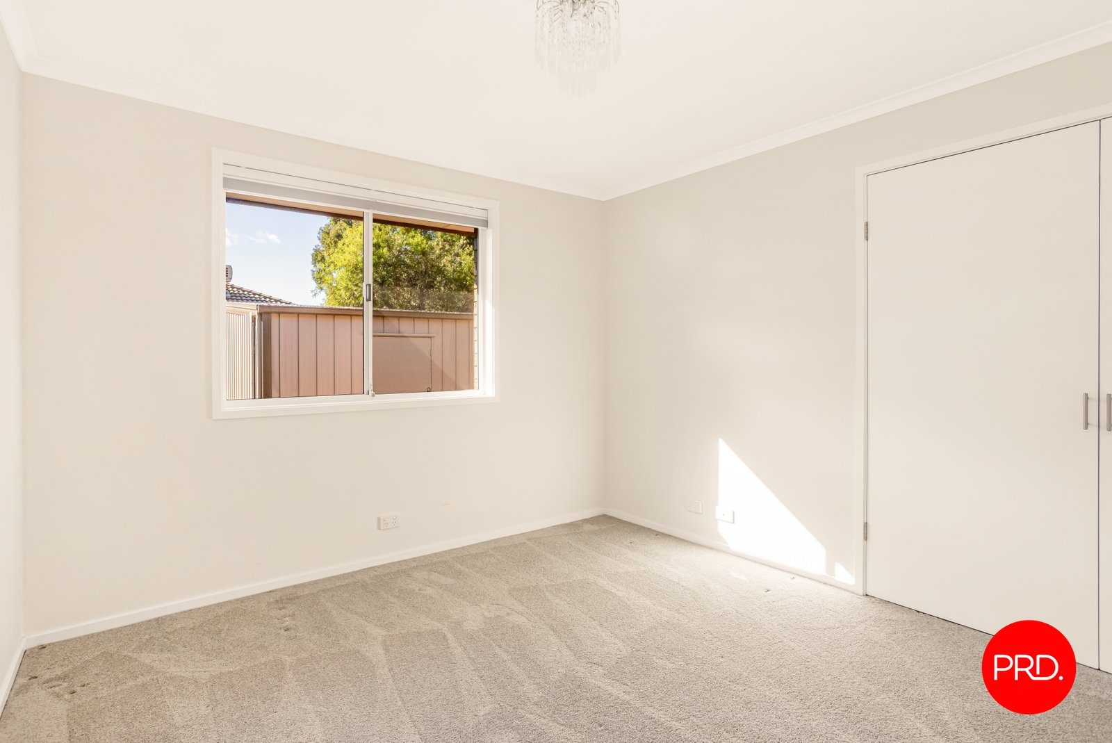 96 Bright Street CALIFORNIA GULLY 11