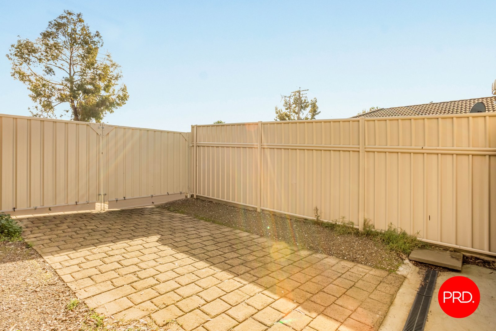 96 Bright Street CALIFORNIA GULLY 16