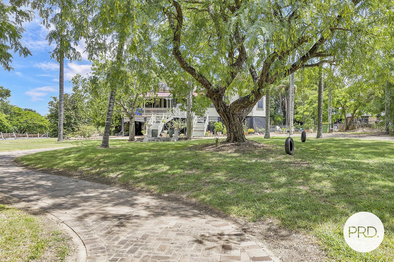 96 John Street ROSEWOOD 22