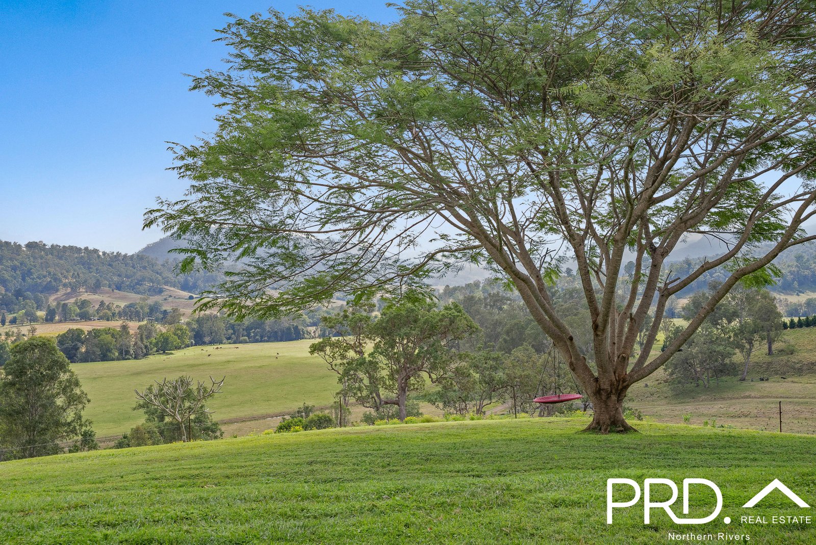 96 Killaloe Road KYOGLE 31