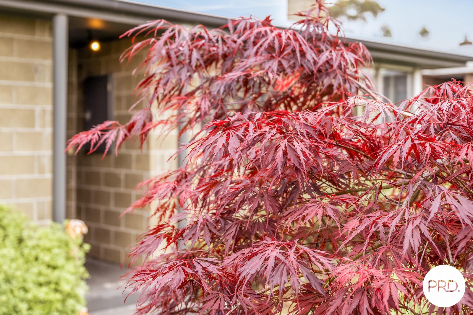 96 Mockridge Road CLARENDON VALE 26