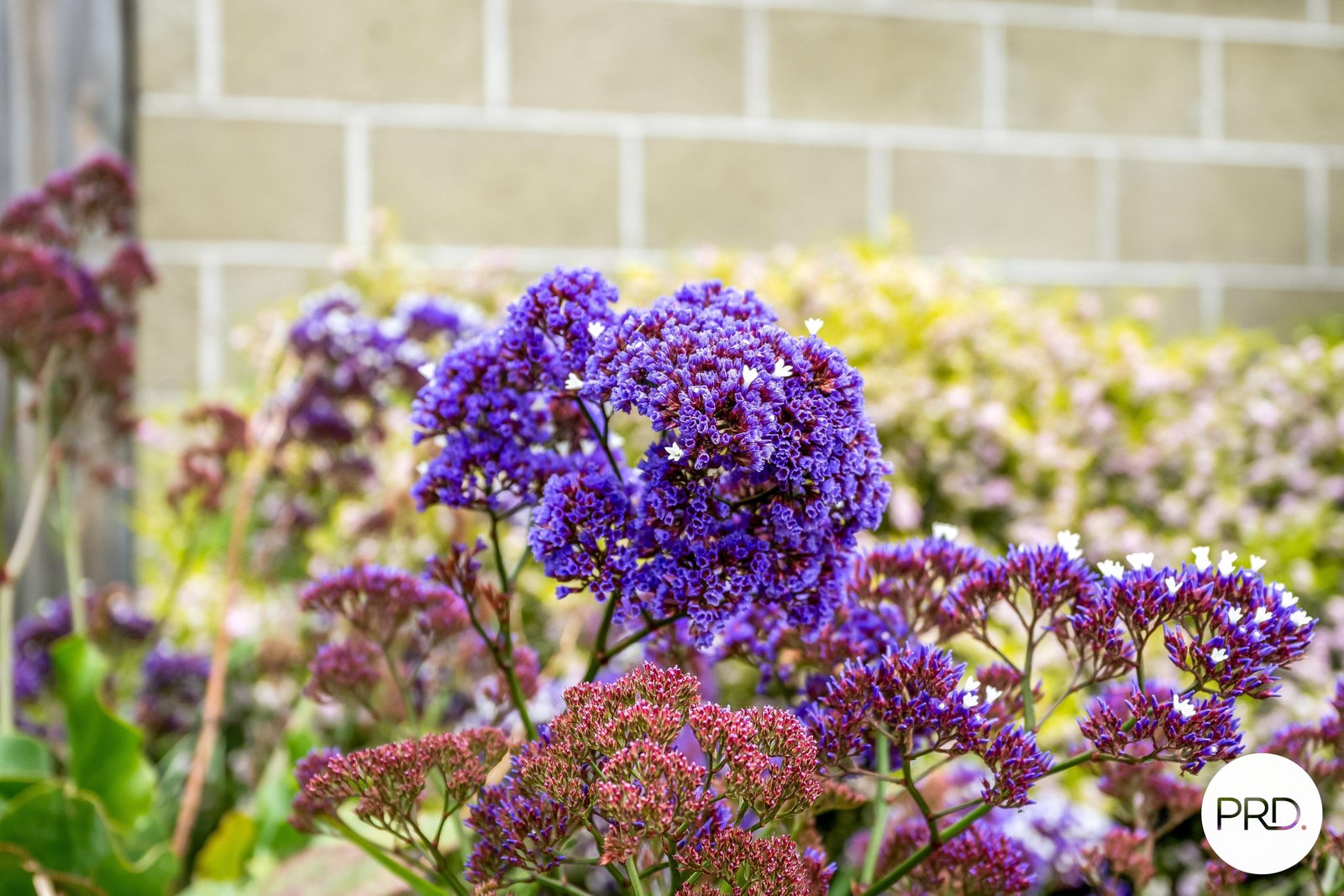 96 Mockridge Road CLARENDON VALE 27