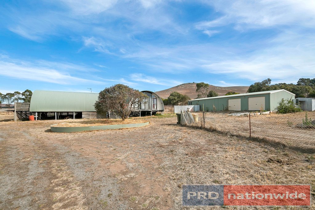 96 Wilcar Drive WAUBRA 10