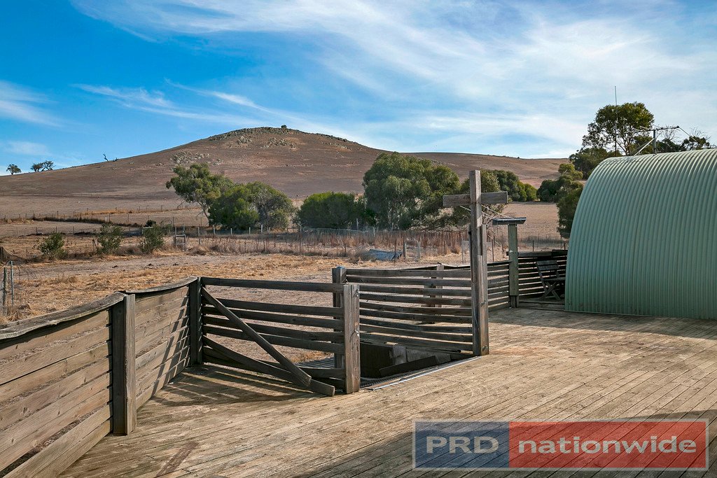 96 Wilcar Drive WAUBRA 11