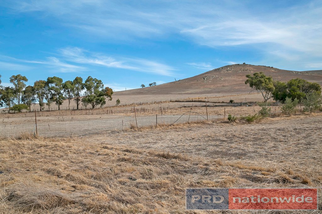 96 Wilcar Drive WAUBRA 15