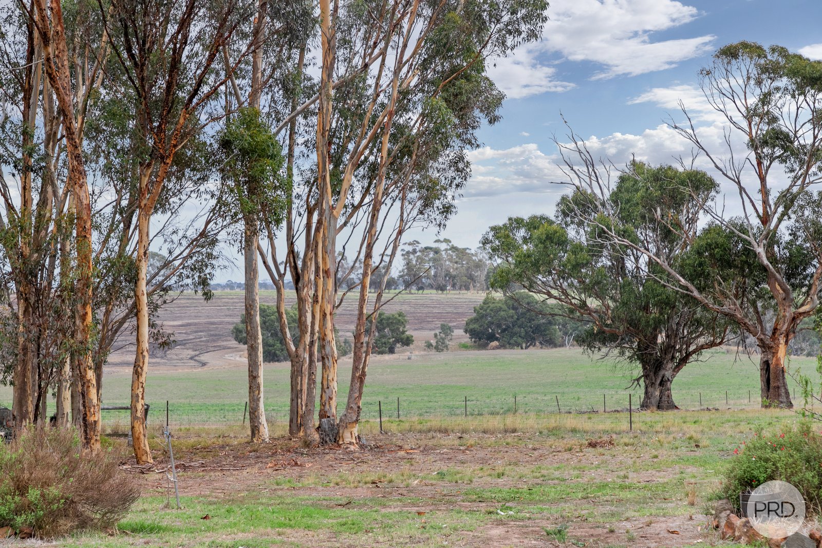 965 Cape Clear-Rokewood Road ILLABAROOK 17