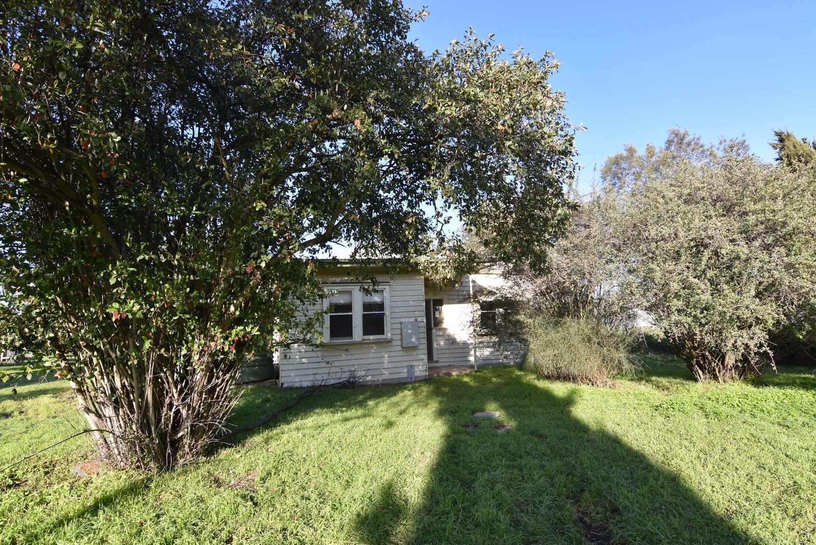 Gallery: 965 Hamilton Highway
