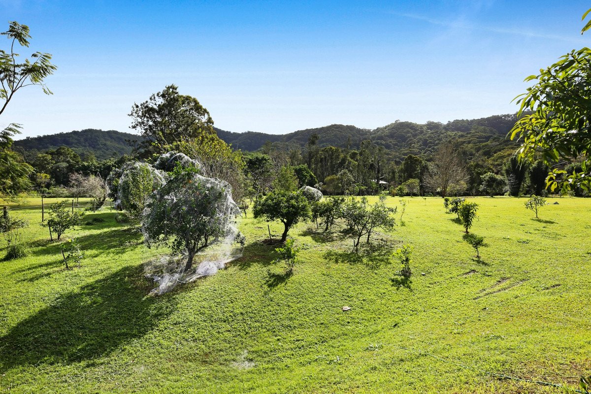 966 Tallebudgera Creek Road Tallebudgera Valley 31