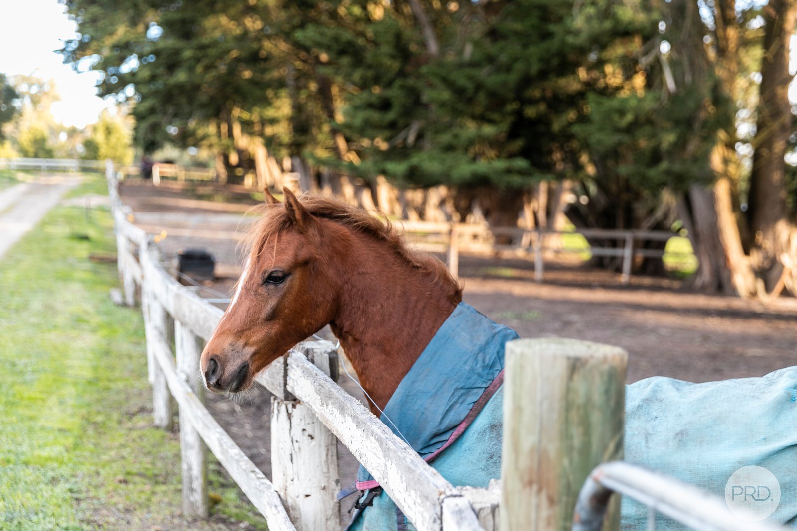 969 Glenelg Hwy  SMYTHES CREEK 21