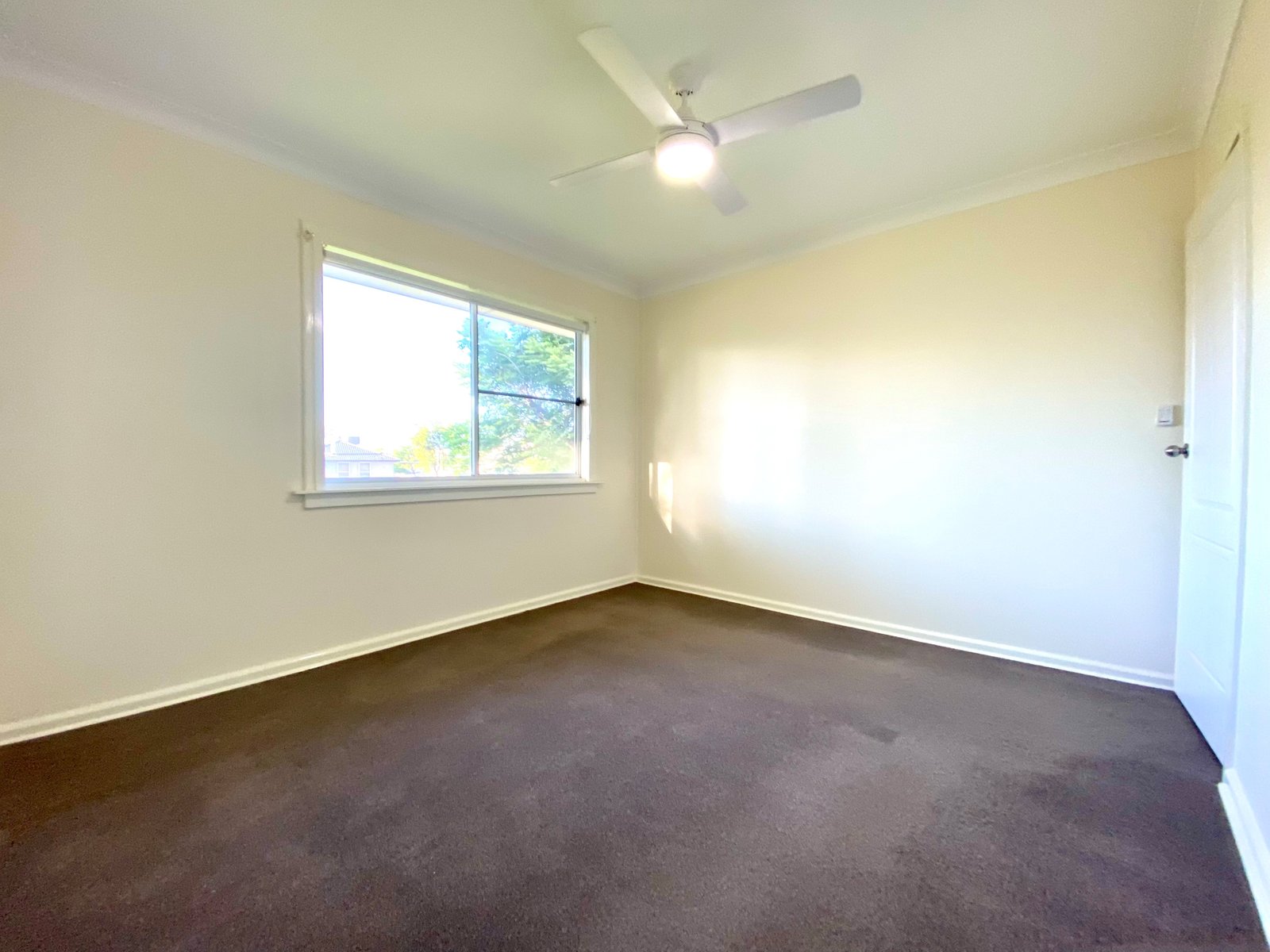 97 Anthony Road TAMWORTH 9