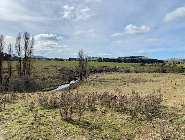 97 Birchs Creek Road KINGSTON 1