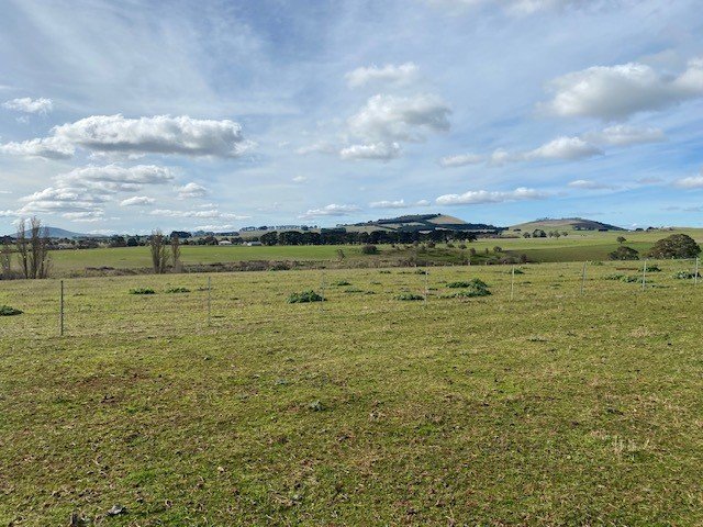 97 Birchs Creek Road KINGSTON 4