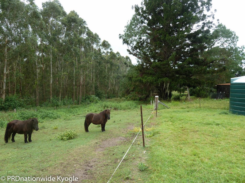 97 Carruthers Road KYOGLE 8