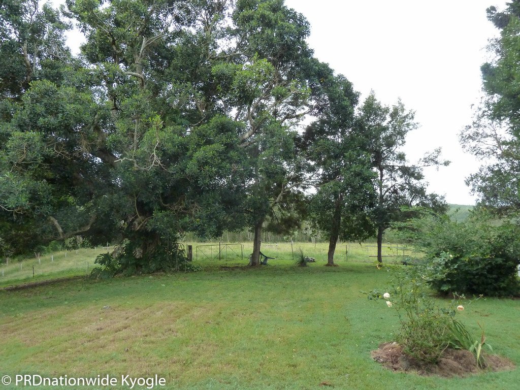 97 Carruthers Road KYOGLE 9