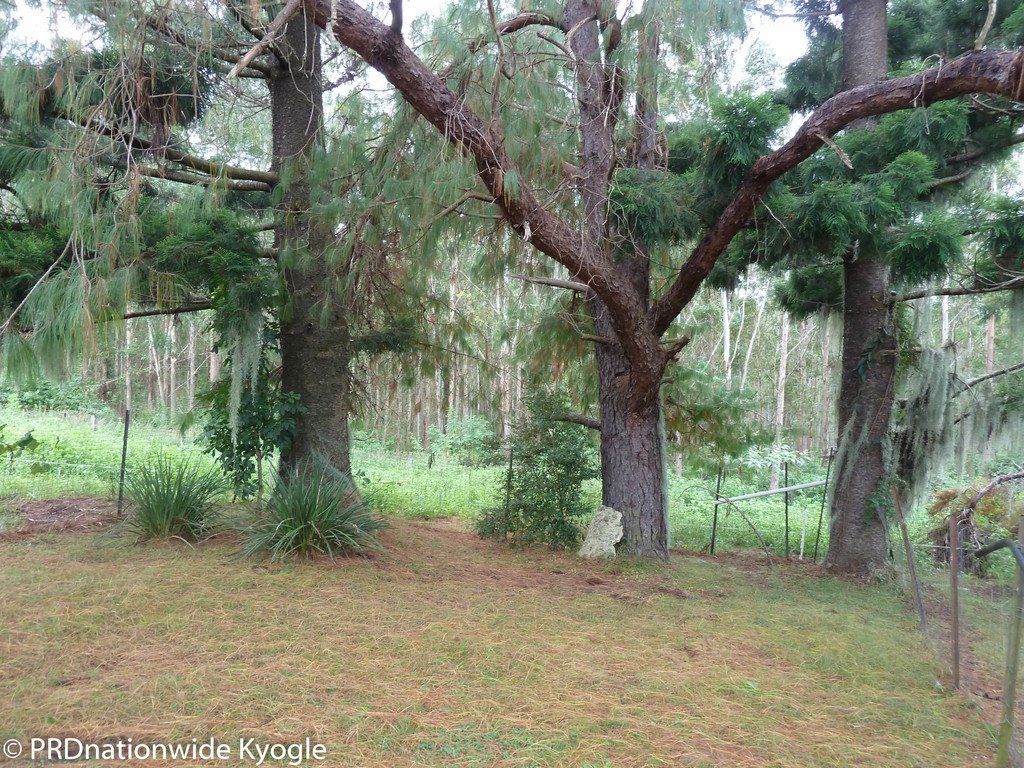 97 Carruthers Road KYOGLE 18