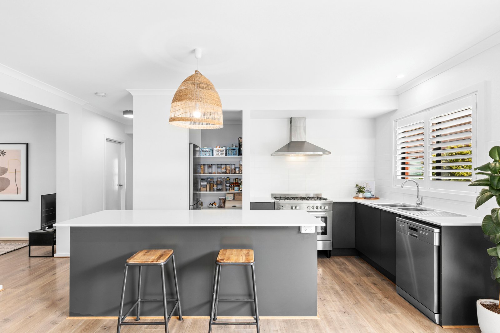 Gallery: 97 Grevillea Drive