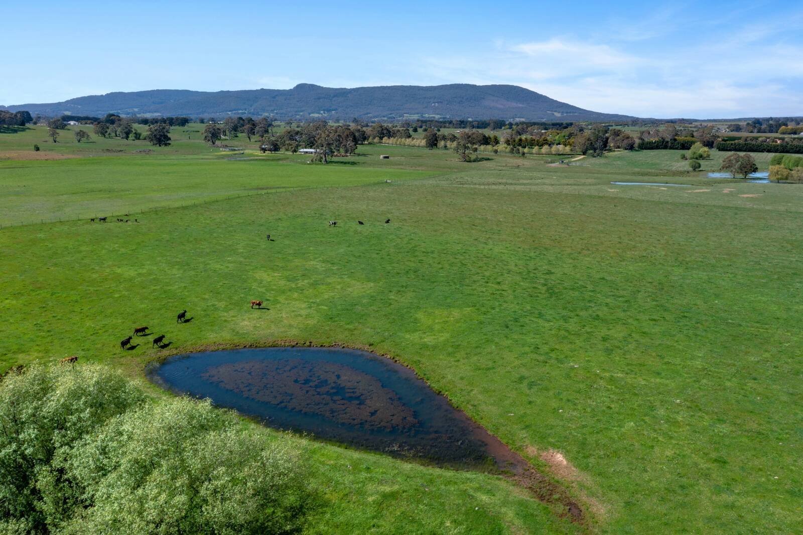 Real Estate and Property in 97 Kirbys Lane, Woodend, VIC